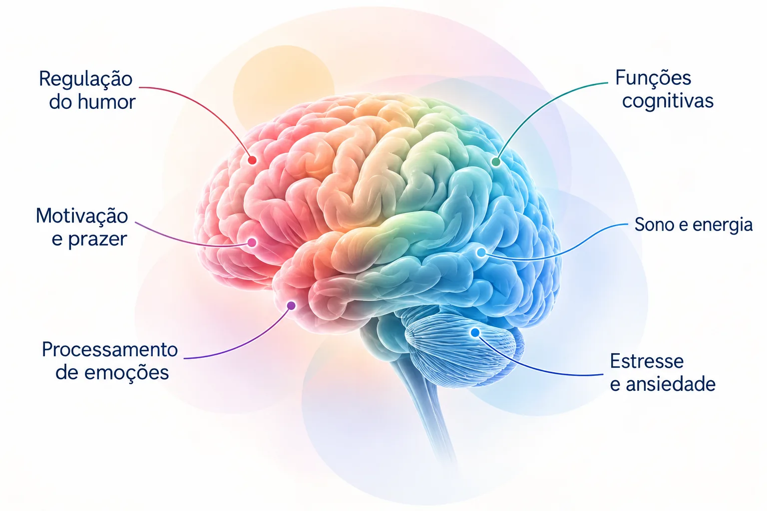 Ilustração científica do cérebro e funções relacionadas à depressão